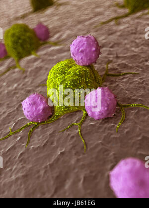 Rendu 3d illustration des leucocytes qui attaquent une cellule de cancer Banque D'Images