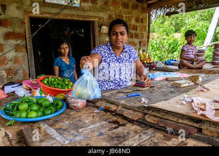 Une dame vendant des fruits à partir d'un blocage des routes, Sri Lanka Banque D'Images