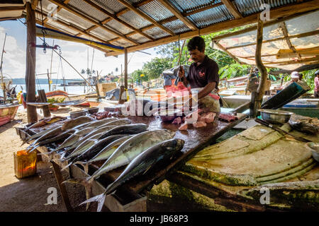 La préparation de pêcheur attraper sur son stand, Galle, Sri Lanka Banque D'Images