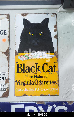 Vieille 'Black Cat' feuille de cigarette metal panneau publicitaire Banque D'Images