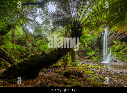 Russell Falls à Mount Field National Park, New Caledonia Banque D'Images