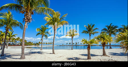 La plage ronde à Matheson Hammock Banque D'Images