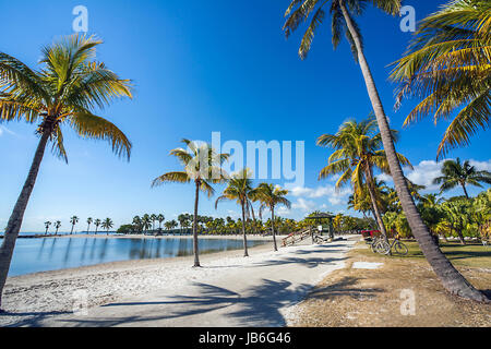 La plage ronde à Matheson Hammock Banque D'Images
