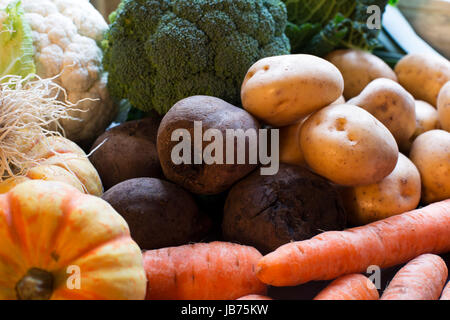 Les légumes d'hiver y compris les betteraves, les carottes et les pommes de terre. Banque D'Images