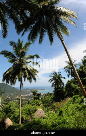 Vue aérienne de la plage Lamai, Thaïlande Banque D'Images