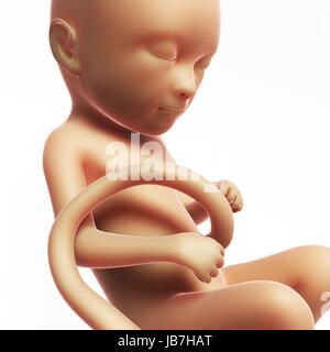 Rendu 3d illustration - foetus humain mois Banque D'Images