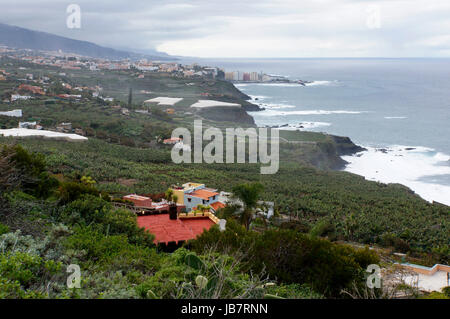 Blick über das Orotava-Tal und die Steilküste auf Puerto de la Cruz, Teneriffa, Spanien, La Orotava Banque D'Images