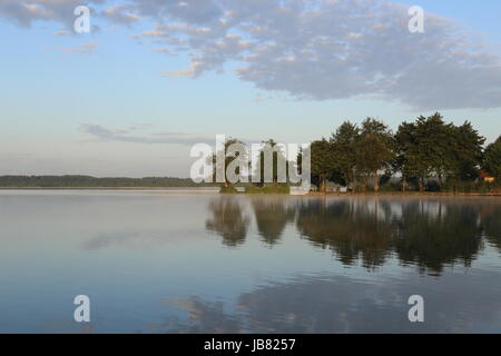 Photo de plante reflétée sur le lac Banque D'Images