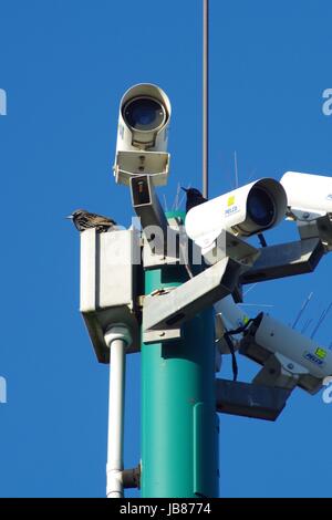 Caméra vidéo CCTV mât avec les étourneaux, repos sur une journée ensoleillée. Aberdeen, Ecosse. Avril 2017. Banque D'Images