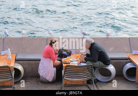 Personnes dîner au restaurant en bord de mer entouré de mouettes à Sydney en Australie. Banque D'Images