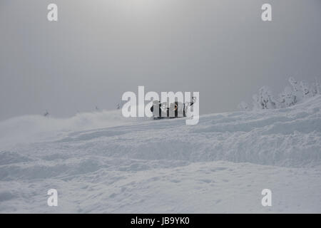 Man riding en motoneige en hiver Alpes enneigées Banque D'Images