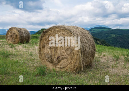 Balles de foin. Banque D'Images