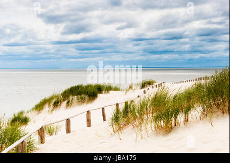 Dune par mer avec clôture en bois visibles, des plantes vertes et des nuages orageux en arrière-plan, à l'horizontale. Banque D'Images