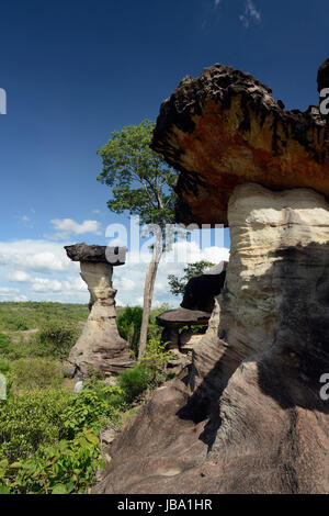 Die Landschaft und Pilzfoermigen Steinformationen Pha Taem im Nationalpark in der Umgebung von Ubon Ratchathani im nordosten dans Suedostasien von Thaïlande. Banque D'Images