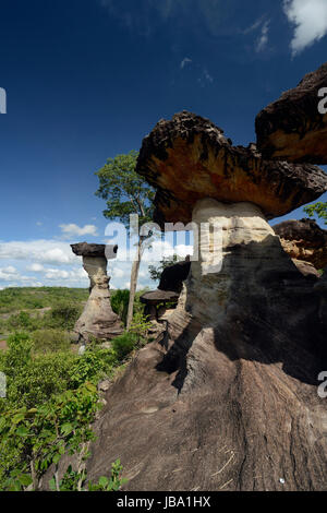 Die Landschaft und Pilzfoermigen Steinformationen Pha Taem im Nationalpark in der Umgebung von Ubon Ratchathani im nordosten dans Suedostasien von Thaïlande. Banque D'Images