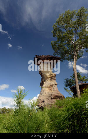 Die Landschaft und Pilzfoermigen Steinformationen Pha Taem im Nationalpark in der Umgebung von Ubon Ratchathani im nordosten dans Suedostasien von Thaïlande. Banque D'Images