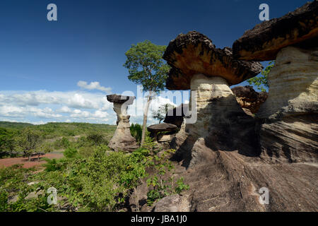 Die Landschaft und Pilzfoermigen Steinformationen Pha Taem im Nationalpark in der Umgebung von Ubon Ratchathani im nordosten dans Suedostasien von Thaïlande. Banque D'Images