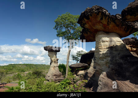 Die Landschaft und Pilzfoermigen Steinformationen Pha Taem im Nationalpark in der Umgebung von Ubon Ratchathani im nordosten dans Suedostasien von Thaïlande. Banque D'Images