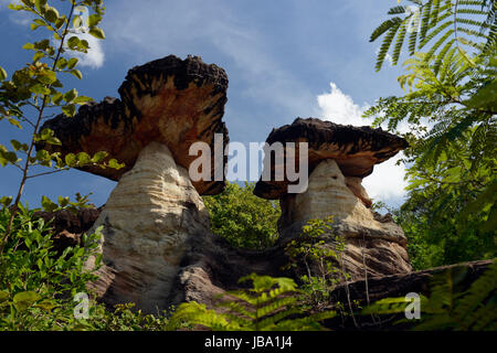 Die Landschaft und Pilzfoermigen Steinformationen Pha Taem im Nationalpark in der Umgebung von Ubon Ratchathani im nordosten dans Suedostasien von Thaïlande. Banque D'Images