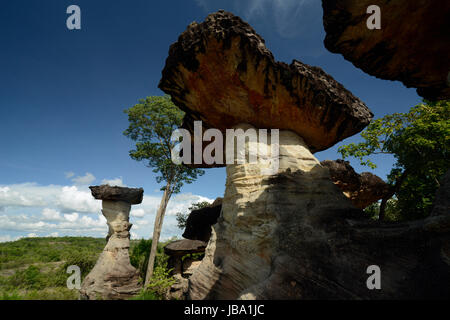 Die Landschaft und Pilzfoermigen Steinformationen Pha Taem im Nationalpark in der Umgebung von Ubon Ratchathani im nordosten dans Suedostasien von Thaïlande. Banque D'Images