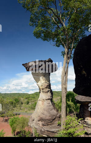 Die Landschaft und Pilzfoermigen Steinformationen Pha Taem im Nationalpark in der Umgebung von Ubon Ratchathani im nordosten dans Suedostasien von Thaïlande. Banque D'Images