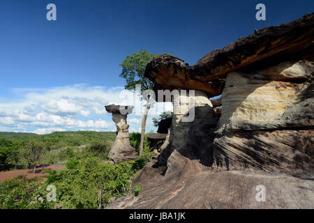 Die Landschaft und Pilzfoermigen Steinformationen Pha Taem im Nationalpark in der Umgebung von Ubon Ratchathani im nordosten dans Suedostasien von Thaïlande. Banque D'Images