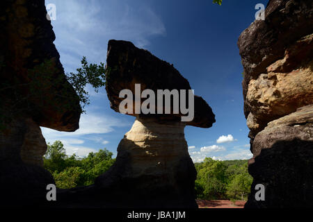 Die Landschaft und Pilzfoermigen Steinformationen Pha Taem im Nationalpark in der Umgebung von Ubon Ratchathani im nordosten dans Suedostasien von Thaïlande. Banque D'Images