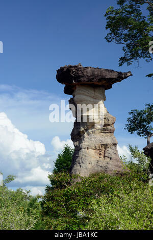 Die Landschaft und Pilzfoermigen Steinformationen Pha Taem im Nationalpark in der Umgebung von Ubon Ratchathani im nordosten dans Suedostasien von Thaïlande. Banque D'Images