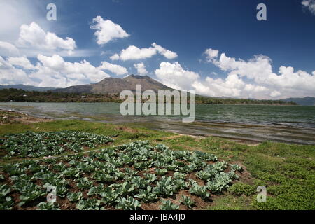 Asien, Suedost, INDONÉSIE, Bali, Insel, Zentral Bali, Lac Batur, voir, Vulkan,Landschaft, (Urs Flueeler) Banque D'Images