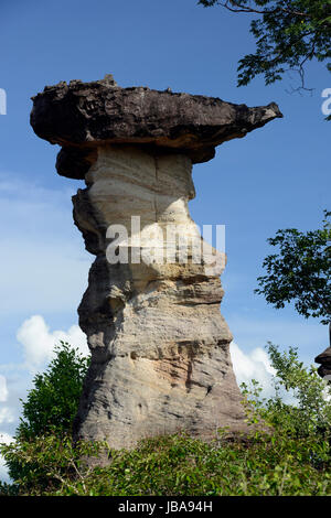 Die Landschaft und Pilzfoermigen Steinformationen Pha Taem im Nationalpark in der Umgebung von Ubon Ratchathani im nordosten dans Suedostasien von Thaïlande. Banque D'Images