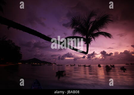 Der Strand von Hat Sai Ri auf der Insel Ko Tao im im Suedwesten Golf von Thaïlande Thaïlande von dans Suedostasien. Banque D'Images