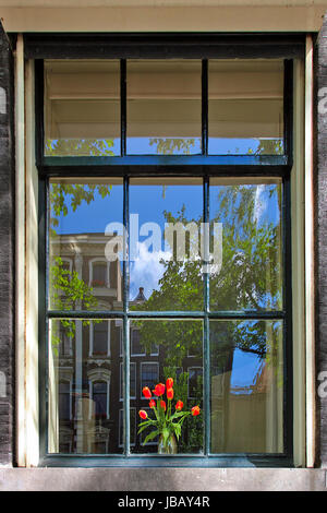 Bouquet de tulipes rouges dans le vase sur le bas de caisse derrière la fenêtre avec la réflexion de la construction sous ciel bleu à Amsterdam, Pays-Bas. Banque D'Images