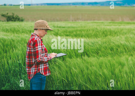 Farmer using digital tablet in wheat crop field, concept de l'agriculture intelligente moderne responsable par l'aide d'appareils électroniques Banque D'Images