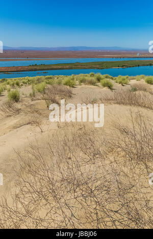 Dunes de sable près de The White Bluffs de Hanford Reach National Monument, bassin du fleuve Columbia, Washington State, USA Banque D'Images