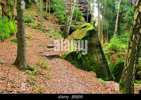 Sandsteinfelsen im Wald - rock de grès dans la forêt 24 Banque D'Images