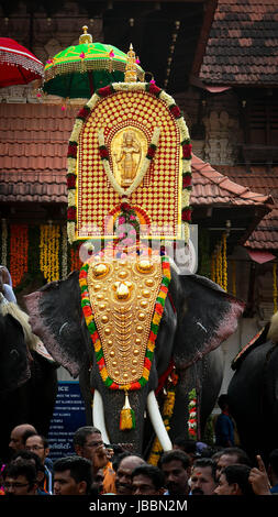 Stock Images l'hindouisme dans le Kerala - Thrissur pooram, Thrissur, Kerala, Inde Banque D'Images