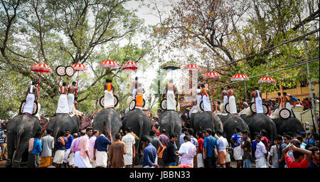 Stock Images l'hindouisme dans le Kerala - Thrissur pooram, Thrissur, Kerala, Inde Banque D'Images