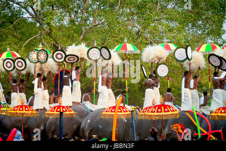 Stock Images l'hindouisme dans le Kerala - Thrissur pooram, Thrissur, Kerala, Inde Banque D'Images