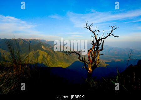 Stock Photo - Kerala magnifique paysage et nature Paysages Banque D'Images