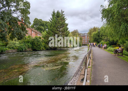 La rivière Ichen à Winchester, Hampshire, United Kingdom Banque D'Images