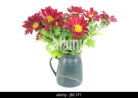 Ein Strauß Chrysanthemen in einer vor Vase hellem Hintergrund Banque D'Images