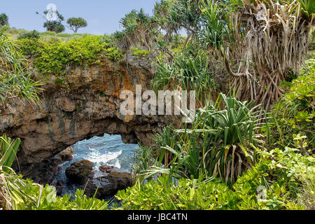 Terre Hufangalupe pont naturel sur la partie sud de l'île de Tongatapu à Tonga. Il a été formé lorsque le toit d'une grotte marine s'est effondré Banque D'Images