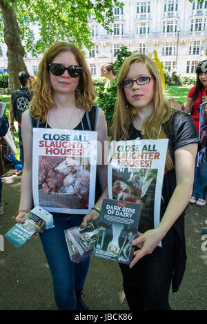 Londres, Royaume-Uni. 10 juin 2017. Mars à fermer tous les abattoirs a eu lieu au centre de Londres. Il a été soutenu par les défenseurs des droits des animaux, végétariens, végétaliens et autres sympathisants. Crédit : Steve Bell/Alamy Live News Banque D'Images