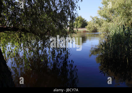 L'un des principaux canaux dans le Delta du Danube en Roumanie, le delta du fleuve plus intacts en Europe et site du patrimoine mondial de l'UNESCO. Banque D'Images