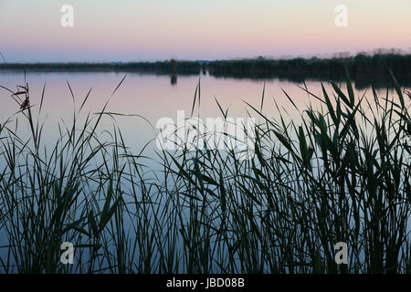 Lever du soleil dans la partie roumaine du Danube Delta. Le Delta du Danube est la plus préservée du delta de la rivière en Europe. Banque D'Images