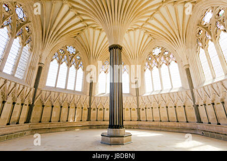 Le magnifique plafond voûté-ventilateur architecture dans la salle capitulaire de la cathédrale de Wells, Wells, Somerset, England, UK Banque D'Images