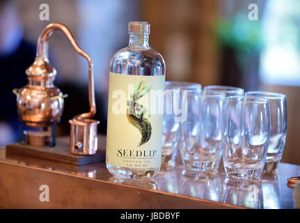 L'esprit non-alcoolisées alternative dans Seedlip, une "non-alcoolisées distillée spirit" Banque D'Images