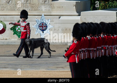 Les Gardes irlandais wolfhound mascot, Donald Mormaer, au cours de l'examen du Colonel, la répétition générale de la parade la couleur, l'imprimeur de la parade d'anniversaire annuel, sur le mall, au centre de Londres. Banque D'Images