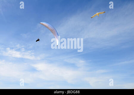 Ouddorp, Pays-Bas - juin 4, 2017 : Para planeurs volant au-dessus des dunes de la côte et d'avoir un grand temps. Banque D'Images