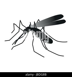 Insecte. Un moustique réaliste. Moustique isolé sur fond blanc. Les larves de moustiques moustiques volant. la transmission du virus, Vector illustration Illustration de Vecteur